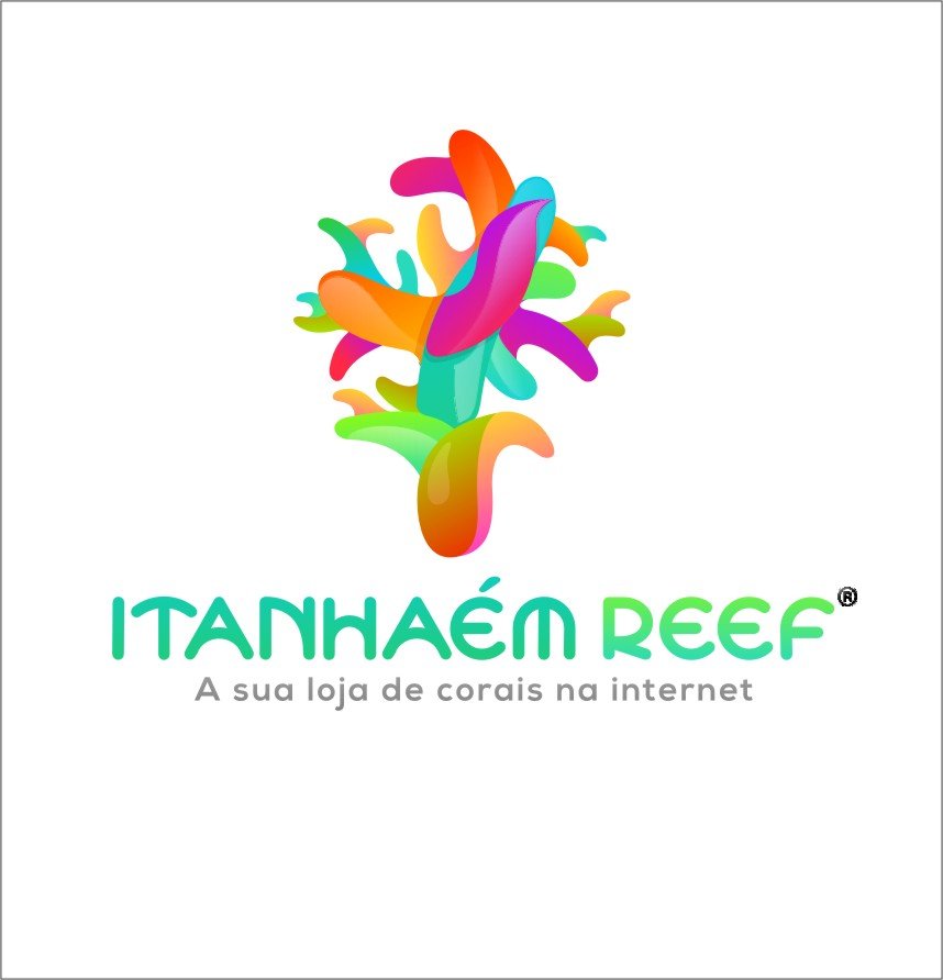 ITANHAÉM REEF